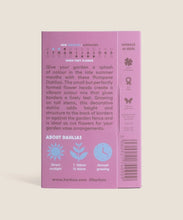 Load image into Gallery viewer, Dahlia 'Pompone Mixed' Seeds