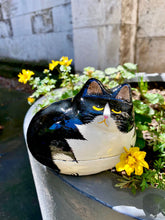 Load image into Gallery viewer, Hodge Box - Lying