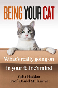 Being Your Cat : What's really going on in your feline's mind